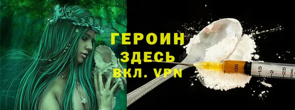 молекула духа Богданович
