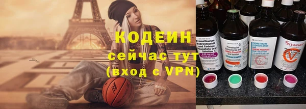 молекула духа Богданович