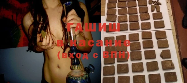 молекула духа Богданович