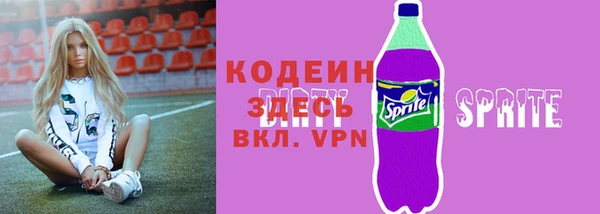 молекула духа Богданович