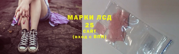 молекула духа Богданович