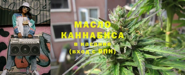 молекула духа Богданович