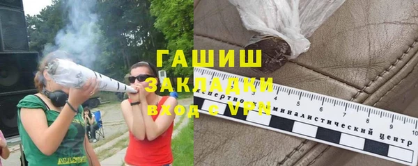 молекула духа Богданович
