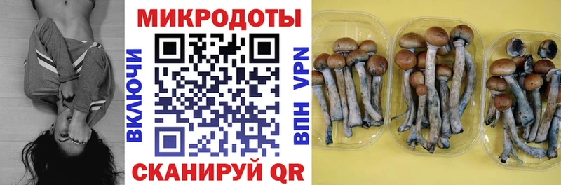 Псилоцибиновые грибы Magic Shrooms  цена   Котлас 